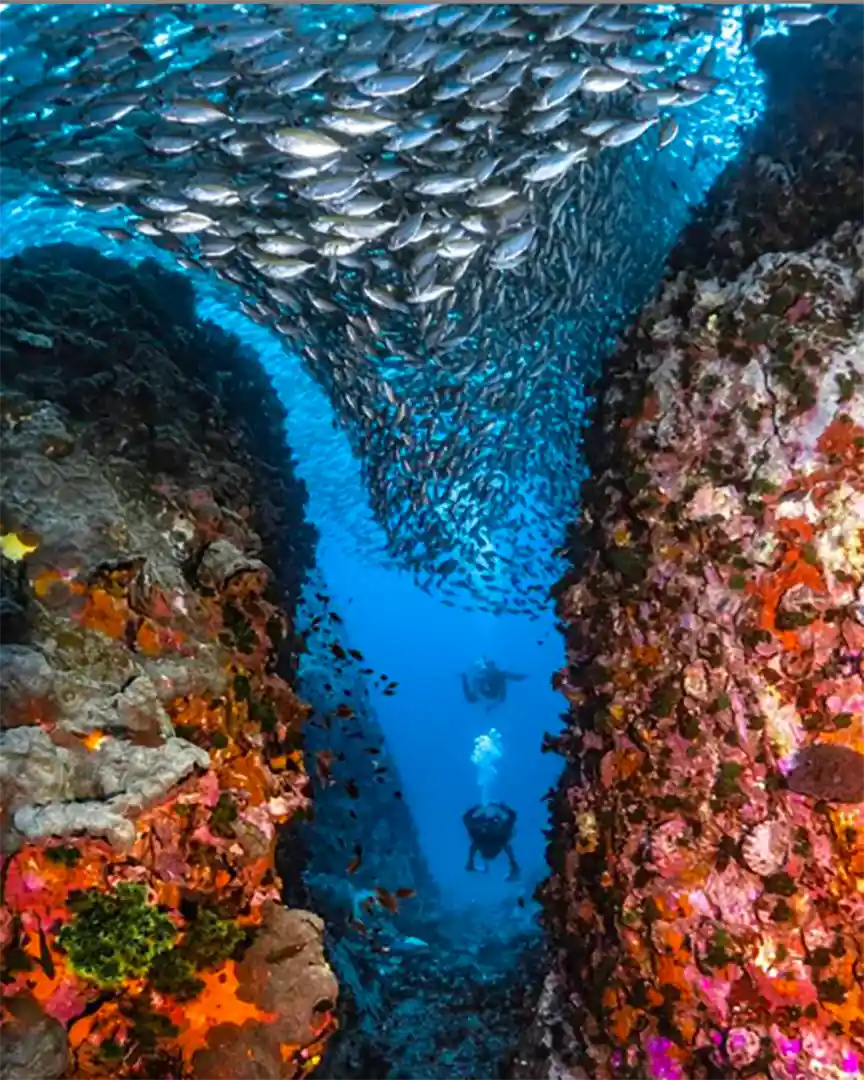 Chumphon Pinnacle, Koh Tao