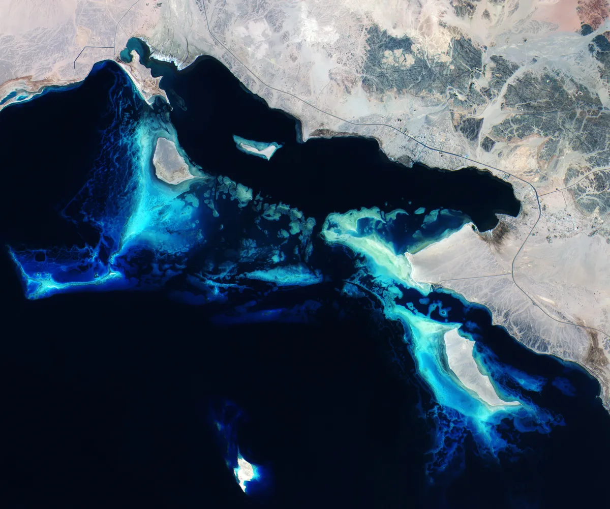 Coral de Hurghada, Mar Rojo