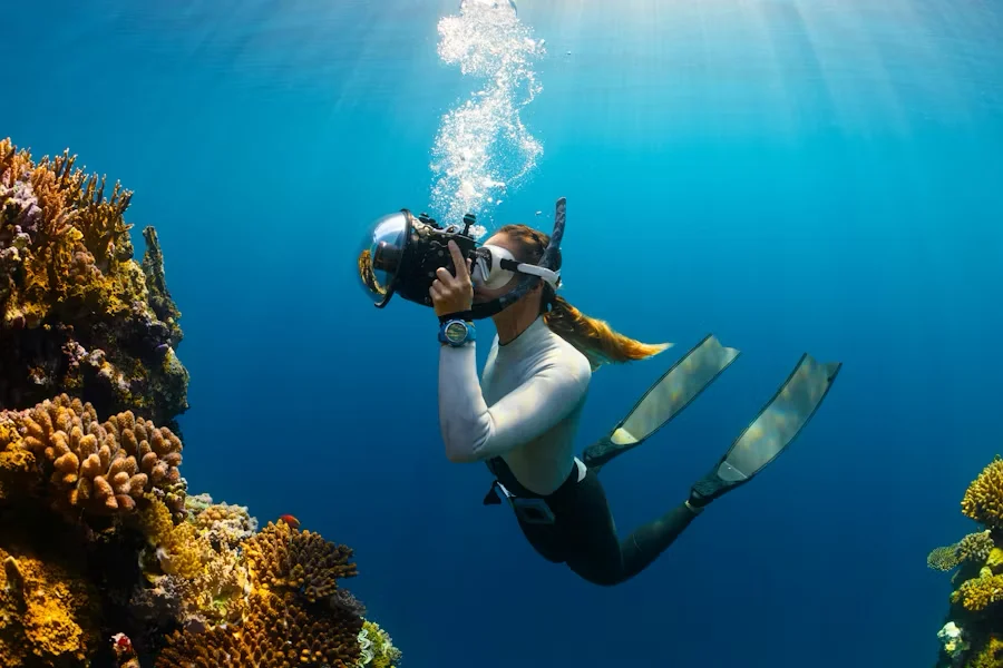 Fotografía submarina